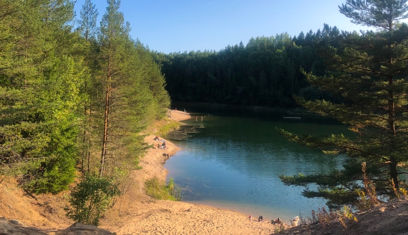 Hiekkakuoppaan tehty uimaranta mäntyjen keskellä.