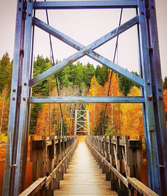 Auranlaaksossa Ravattulan riippusilta upeissa syksyn väreissä sillan toisesta päästä kuvattuna.
