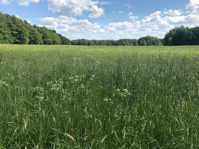 Kaunis luonto ja peltomaisemat ovat lähellä Hirvensalon Sorttamäessä