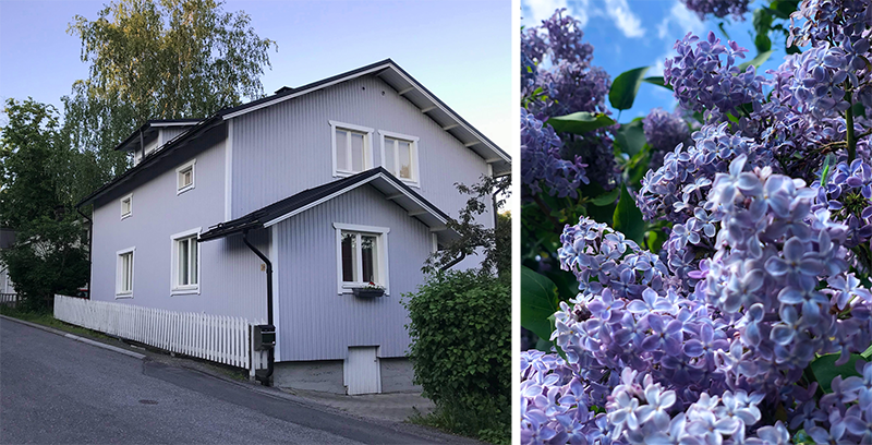Vasemmalla lila puutalo Turun Vähäheikkilässä ja oikealla lila syreeni