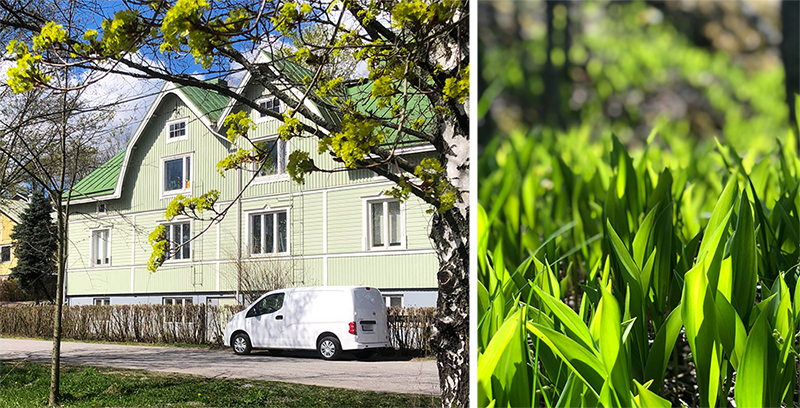 Vasemmalla vihreä puutalo Turun Raunistulassa ja oikealla vihreät kielot