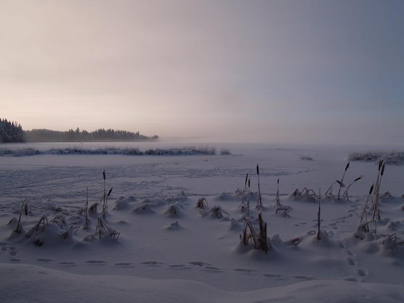 Jälkiä lumihangessa jäätyneellä järvenjäällä usvassa.