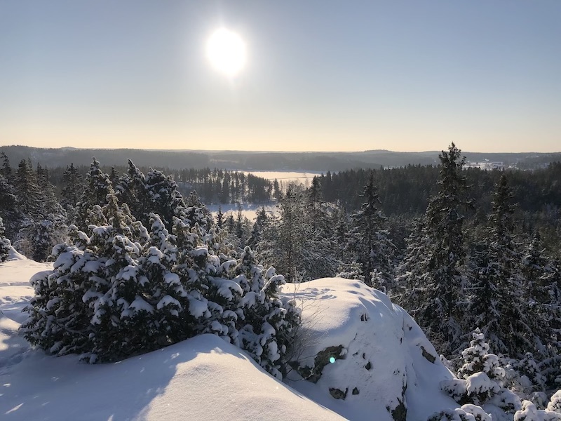 Talvinen näkymä metsästä ja kallioista Piikkiön Linnavuorelta.