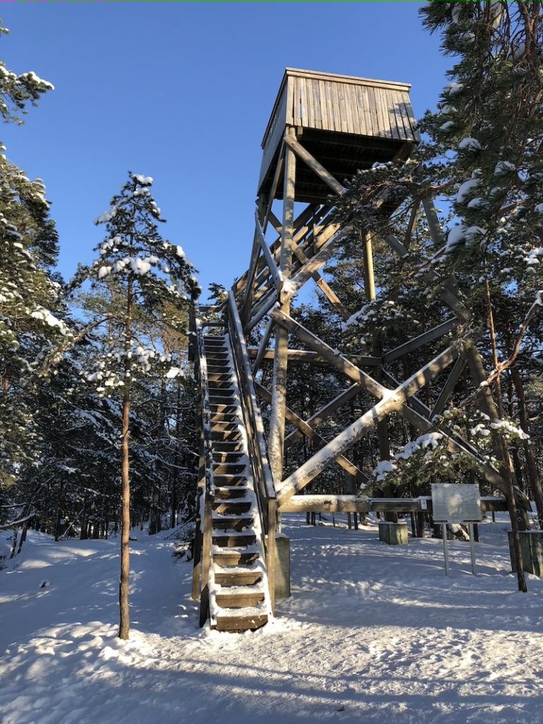 Kaarinan Vaarniemen näköalatorni puiden katveessa talvella.