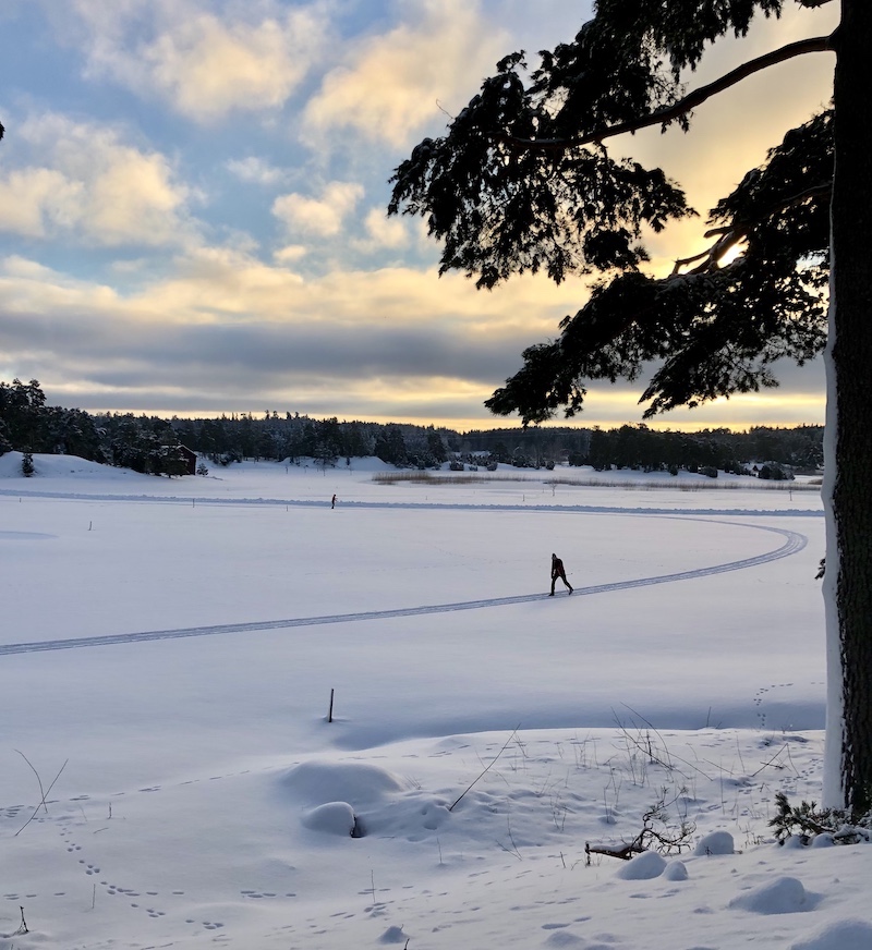 Kultaranta Resortin latu ja yksi hiihtäjä avarassa lumimaisemassa.