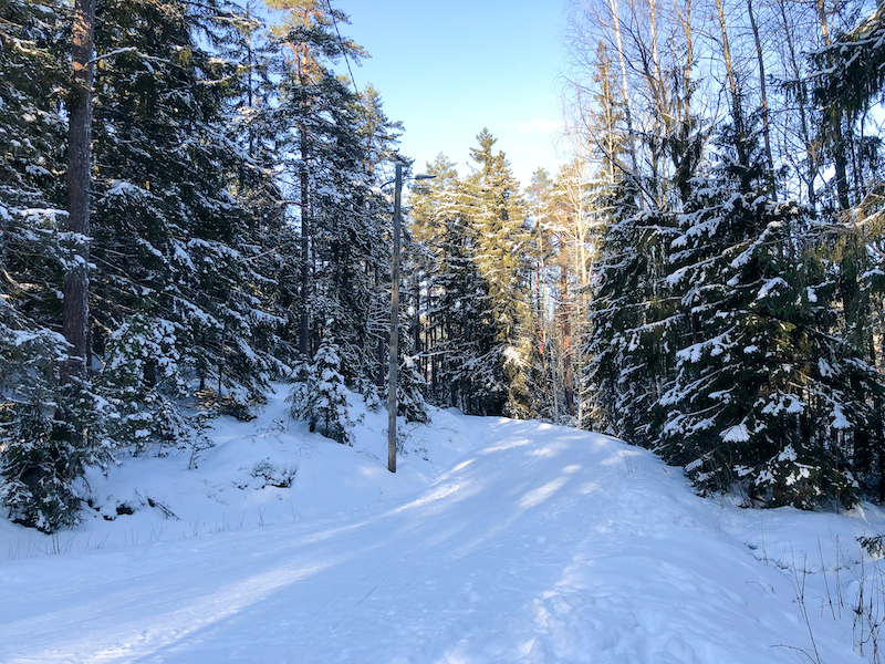 Latu keskellä metsää Merimaskussa.