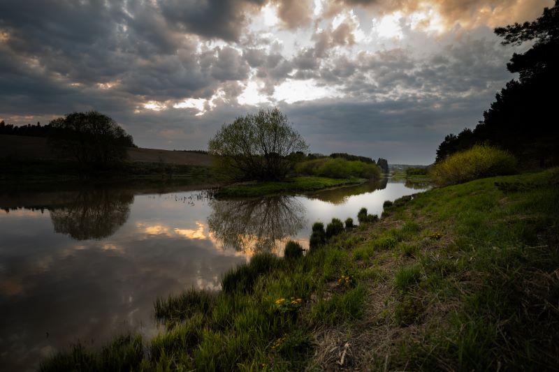 Paimionjokilaakson luontoa kesällä.