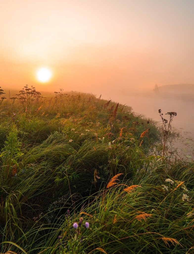 Aurajoen varren usvaiset niityt auringonnousun aikaan.