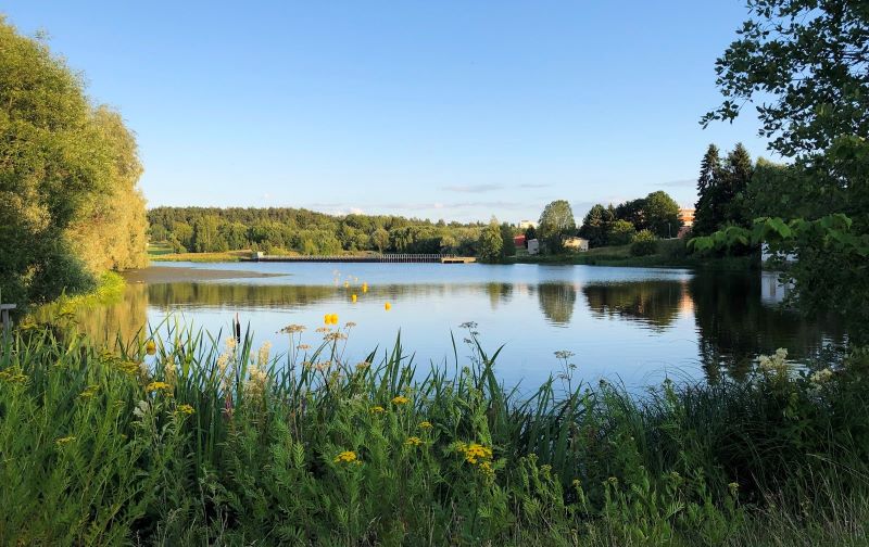 Halisten koski tyynenä kesäpäivänä.