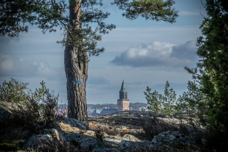Puu kallioisella mäellä. Takaa heijastuu Turun tuomiokirkko.