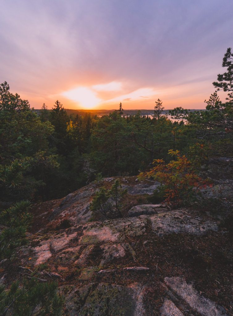 Maisema Katariinanlaakson kallioilta, joissa näkyy kallioita, vehreitä puita ja horisontissa aurinko.