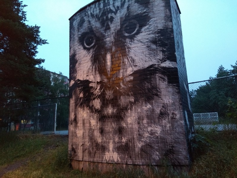 Katutaideteos, joka esittee pöllöä. Maalattu tiilipilariin.