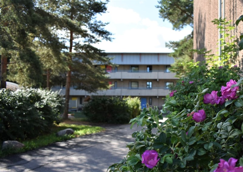 Taustalla Ylioppilaskylä betonikatloja ja etualalla värikkäitä kukkia.