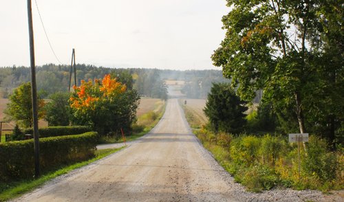 Tie Somersojan maaseudulla Raisiossa. Peltoa molemmin puolin tietä. Etualalla puita ja pensaita.