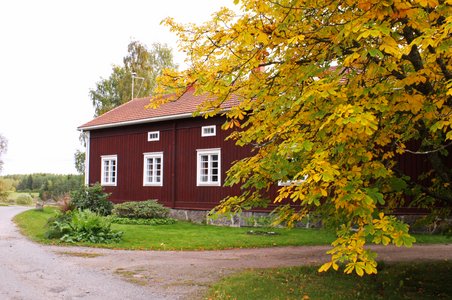Perinteinen punainen puutalo Mahittulassa Raisiossa. Etualalla puu syksyn väreissä.