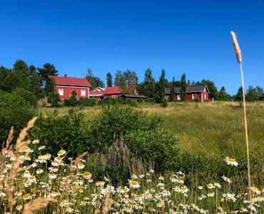 Perinteisiä punaisia puutaloja suomalaisessa maalaismaisemassa.