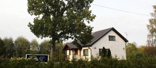 Vaalea omakotitalo ja iso puu Tahvion kylässä Raisiossa.