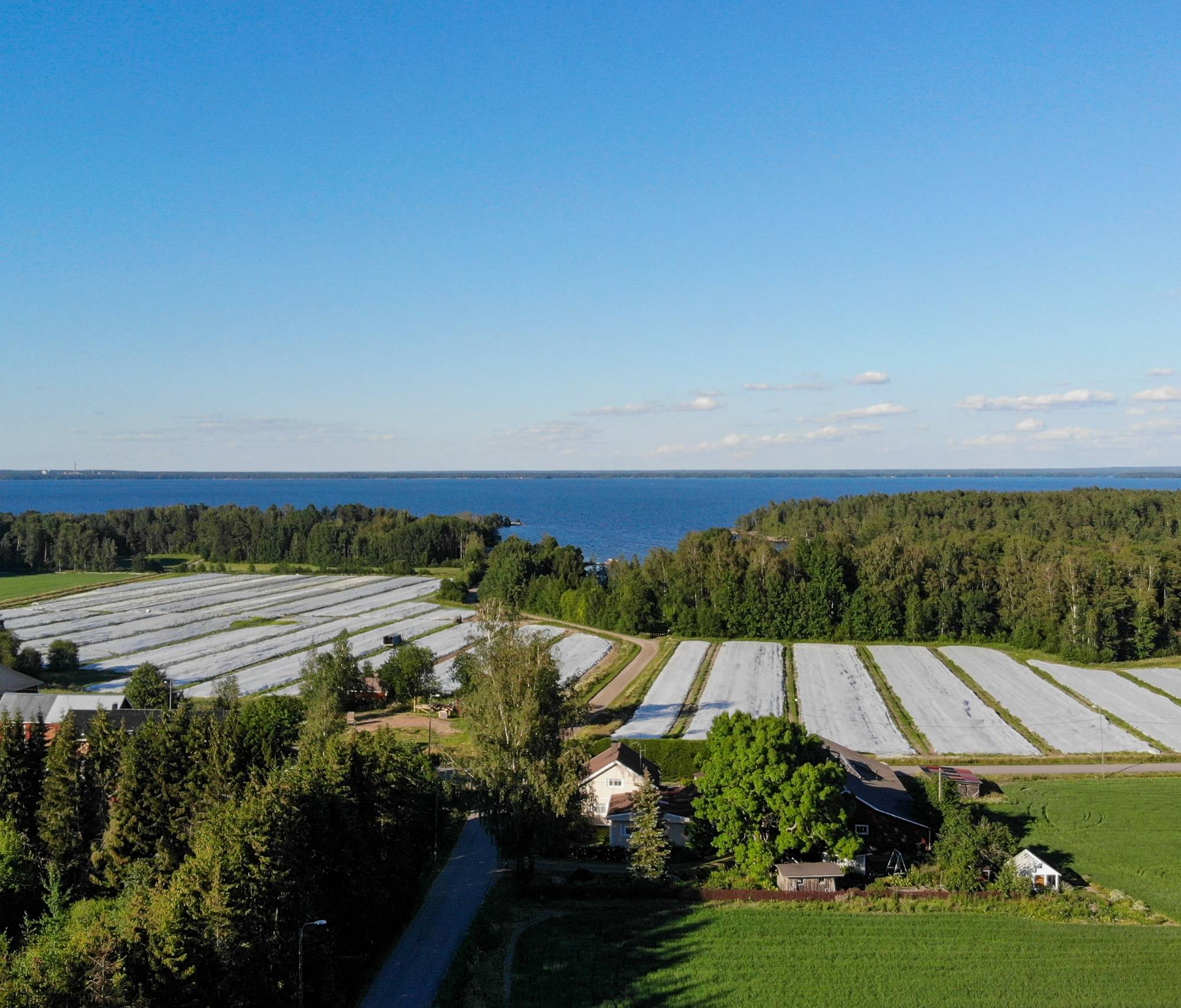 Ilmakuva Euran Mannilasta, etualalla peitettyjä peltoja, taustalla Pyhäjärvi.