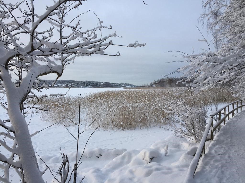Katariinalaakson luonnonsuojelualueen luonto lumen peittämänä.
