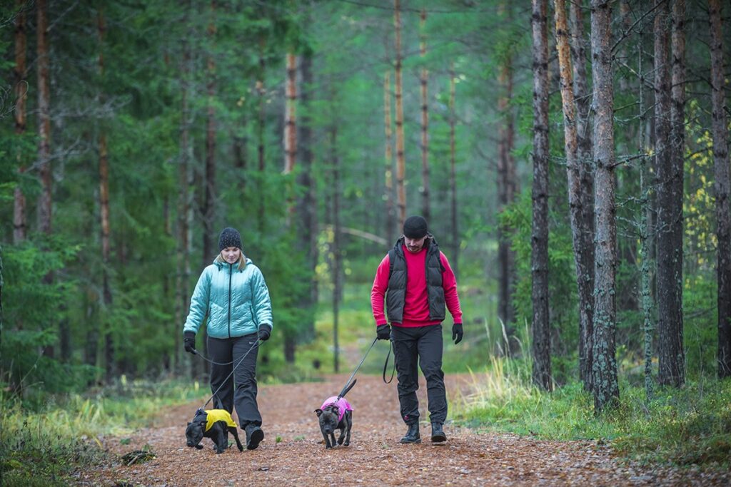 Kaksi henkilöä taluttaa koiria metsäpolulla.